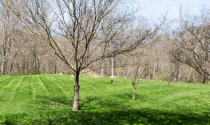 Bridget Morrissey Realtor sold 78 Mary Hall Road in Stonington